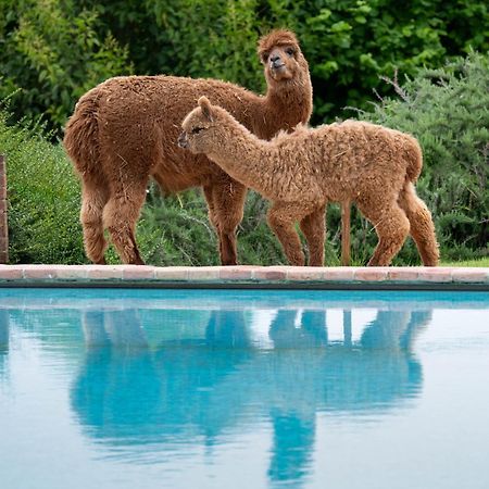 Agriturismo Il Vecchio Mandorlo Perugia Eksteriør bilde