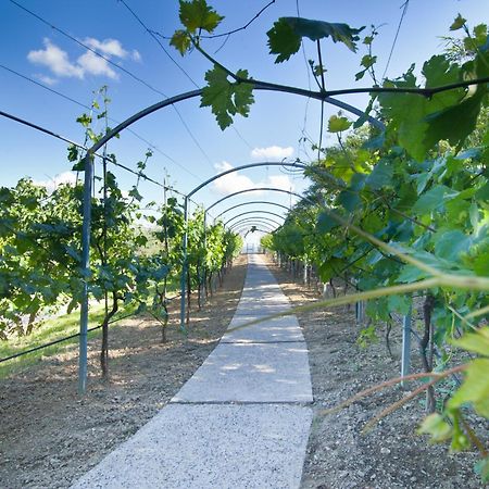 Agriturismo Il Vecchio Mandorlo Perugia Eksteriør bilde