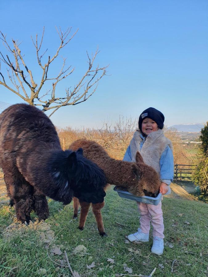 Agriturismo Il Vecchio Mandorlo Perugia Eksteriør bilde