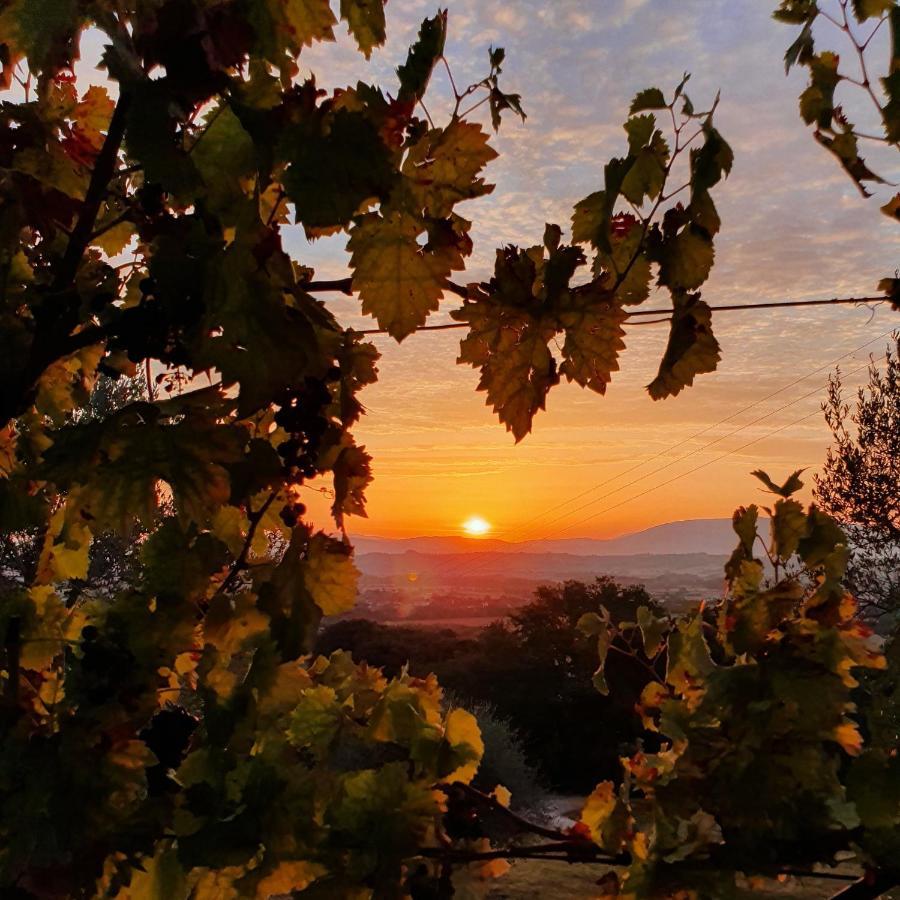Agriturismo Il Vecchio Mandorlo Perugia Eksteriør bilde