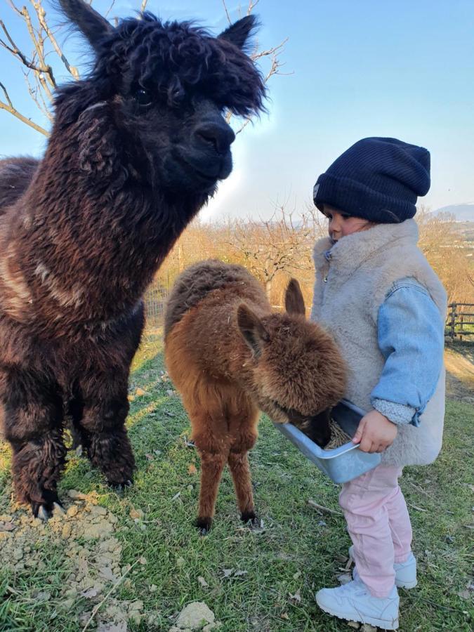 Agriturismo Il Vecchio Mandorlo Perugia Eksteriør bilde
