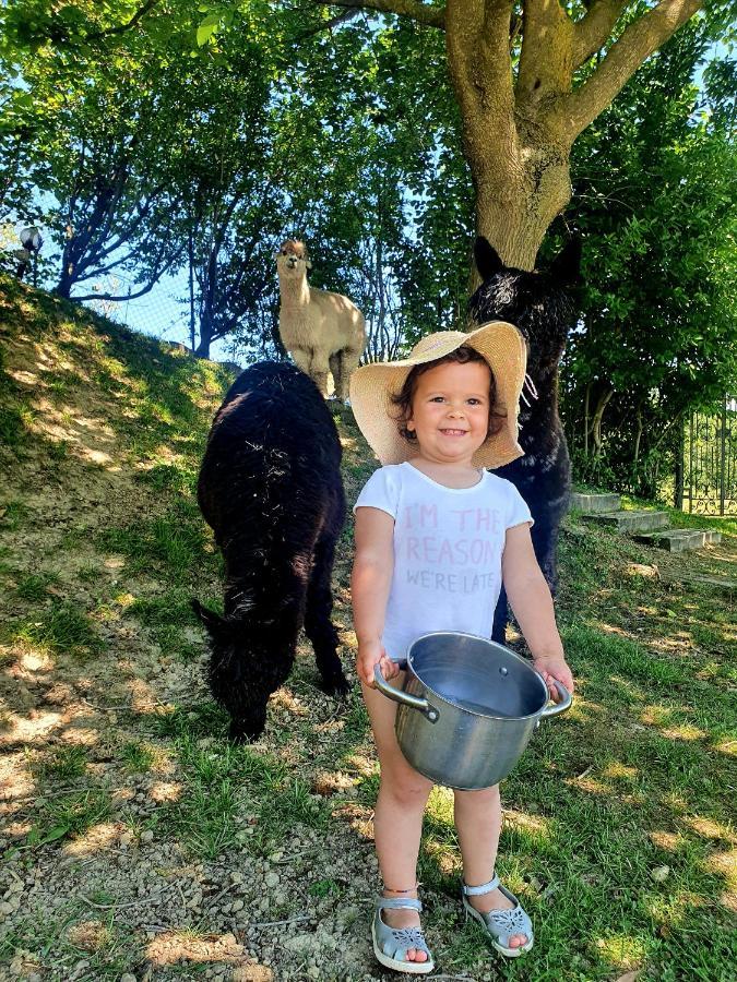 Agriturismo Il Vecchio Mandorlo Perugia Eksteriør bilde