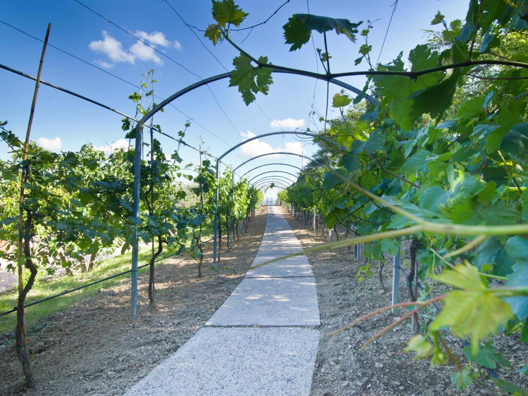 Agriturismo Il Vecchio Mandorlo Perugia Eksteriør bilde